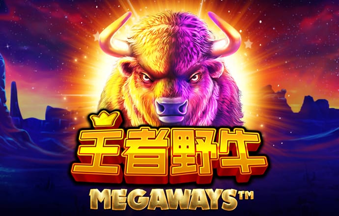 im体育登录
